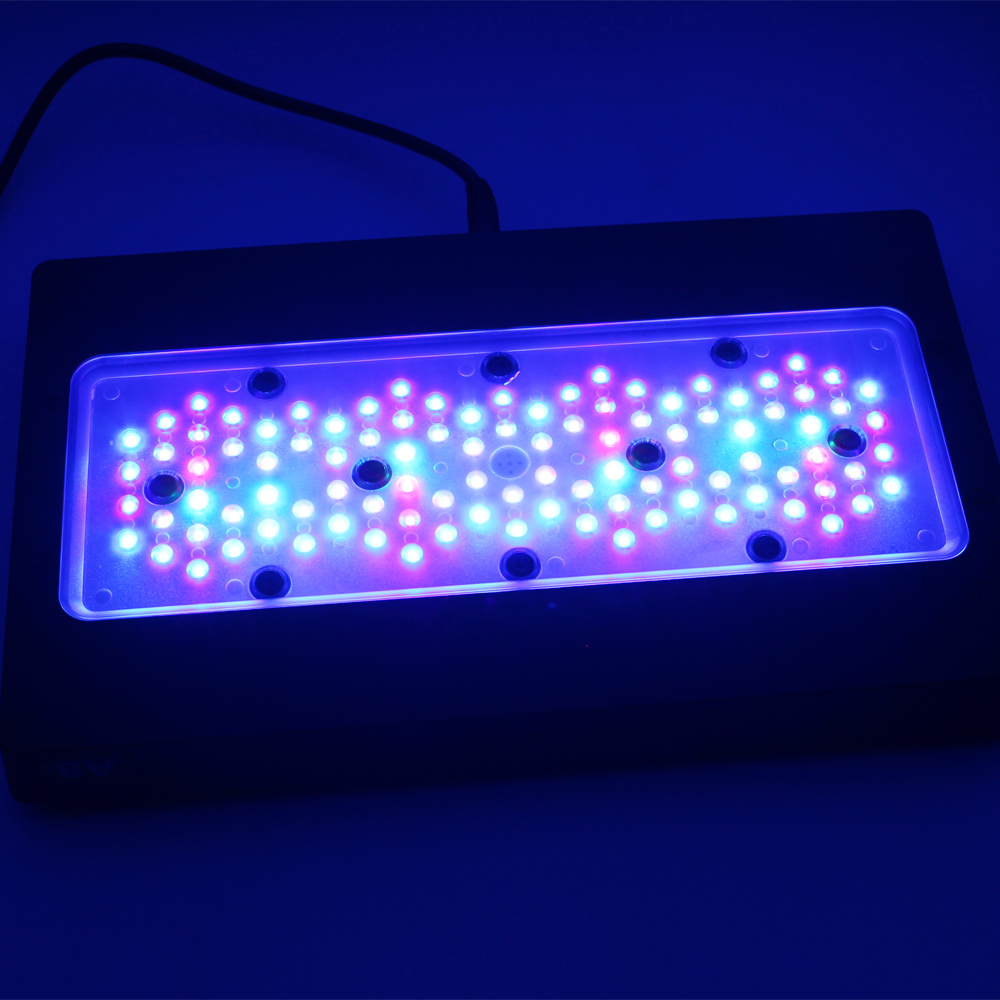 Aquarium Blue Marine - A8SE pro II MAX Blue 240W