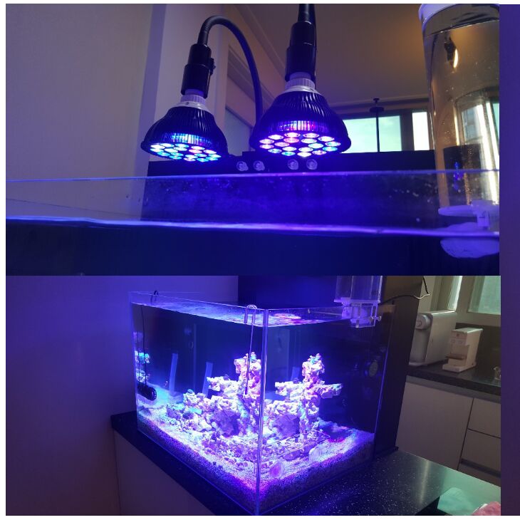 Marine Aquarium With Sump - Free customize LED Aquarium light led