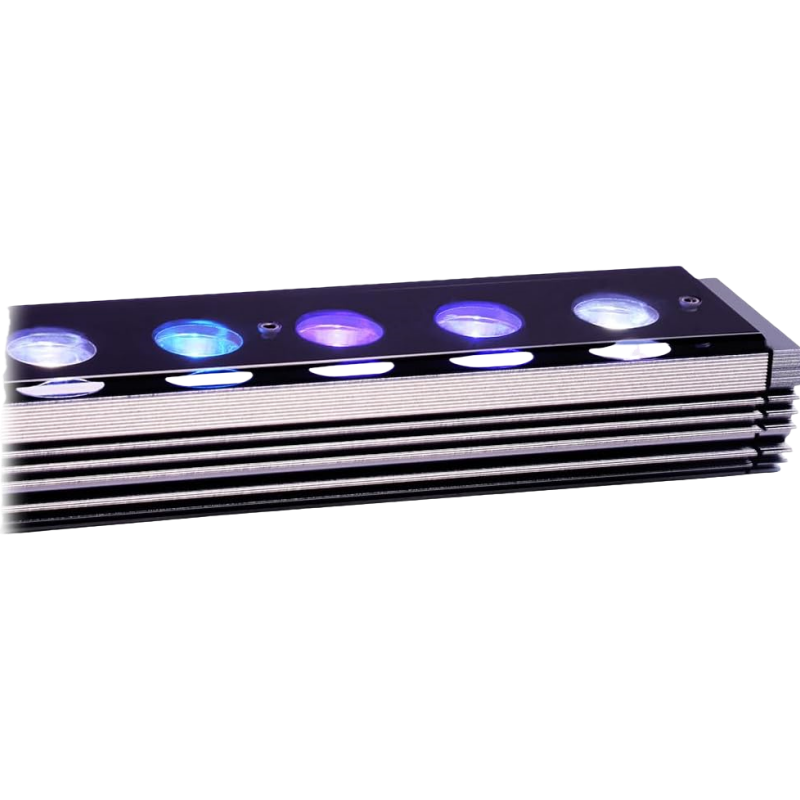 Aquarium Blue Marine - Reef Emitting Diode Aquarium 6w Dual