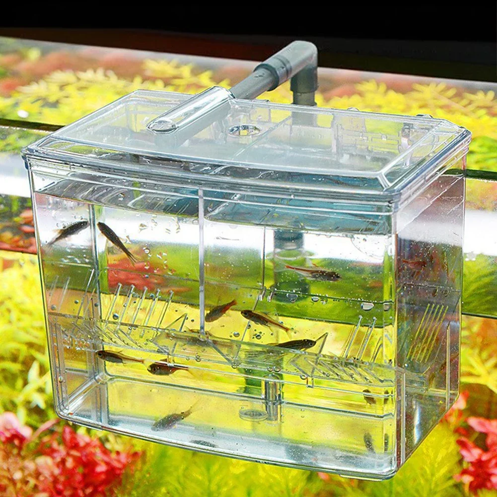 Aquarium Fish Breeding Box for - огляд і ціна Marine Aquarium With Sump