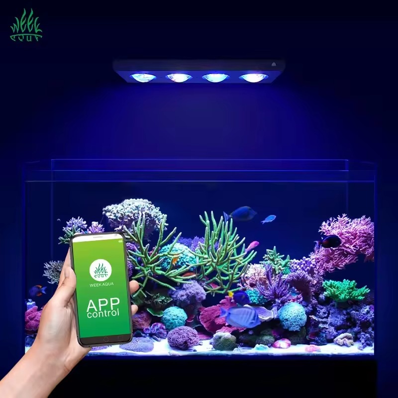 WEEK AQUA Z400 120W Aquarium M - огляд і ціна Aquarium Blue Marine