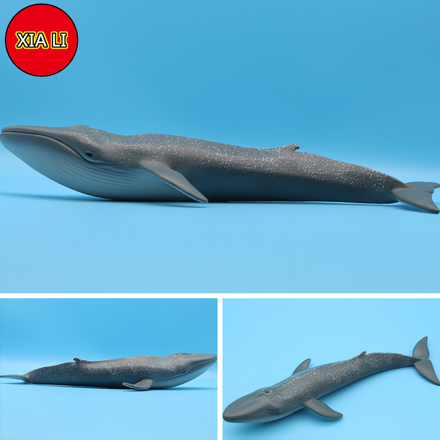Ocean Sea Life Simulation Kill - огляд і ціна Aquarium Blue Marine