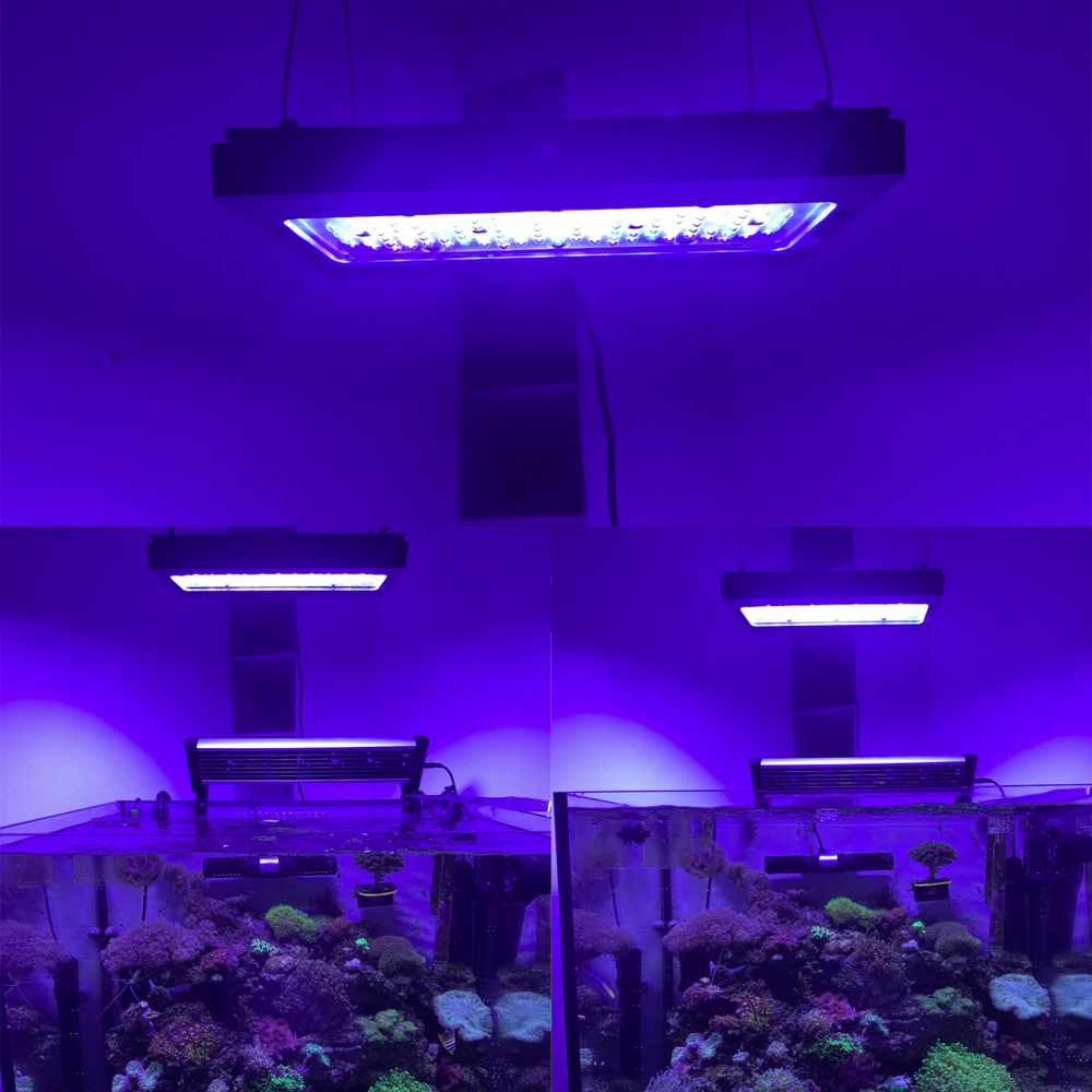 A8SE pro II MAX Blue 240W Mari - огляд і ціна Aquarium Blue Marine