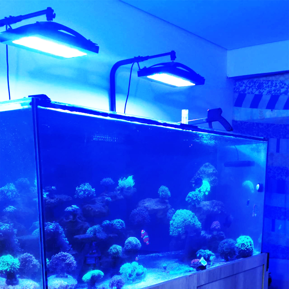 A8SE pro II MAX Blue 240W Mari - огляд і ціна Aquarium Blue Marine