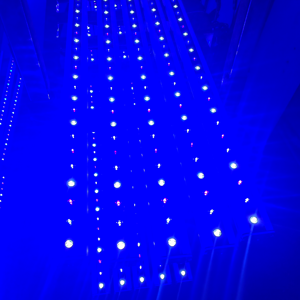 NEO Series Timer Blue Sky/Blue - огляд і ціна Aquarium Blue Marine