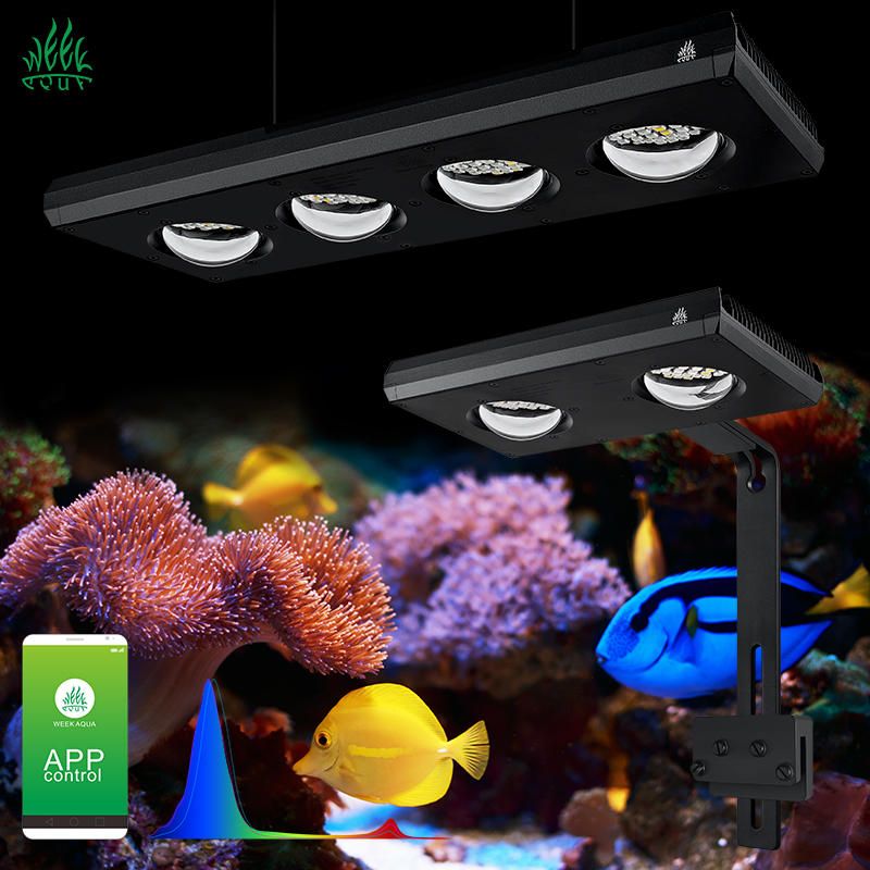 ZXY Hot Sale WEEKAQUA Z250 Z40 - огляд і ціна Aquarium Blue Marine