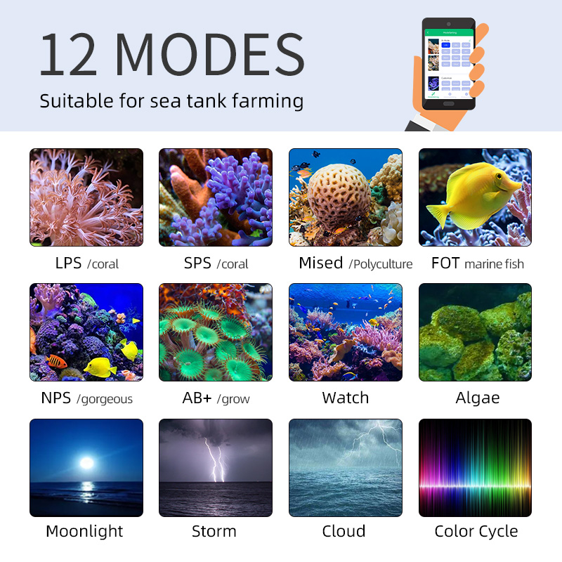 ZXY Hot Sale WEEKAQUA Z250 Z40 - огляд і ціна Aquarium Blue Marine
