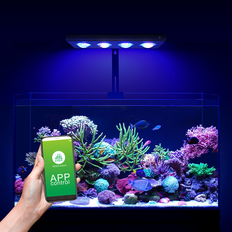 ZXY Hot Sale WEEKAQUA Z250 Z40 - огляд і ціна Aquarium Blue Marine