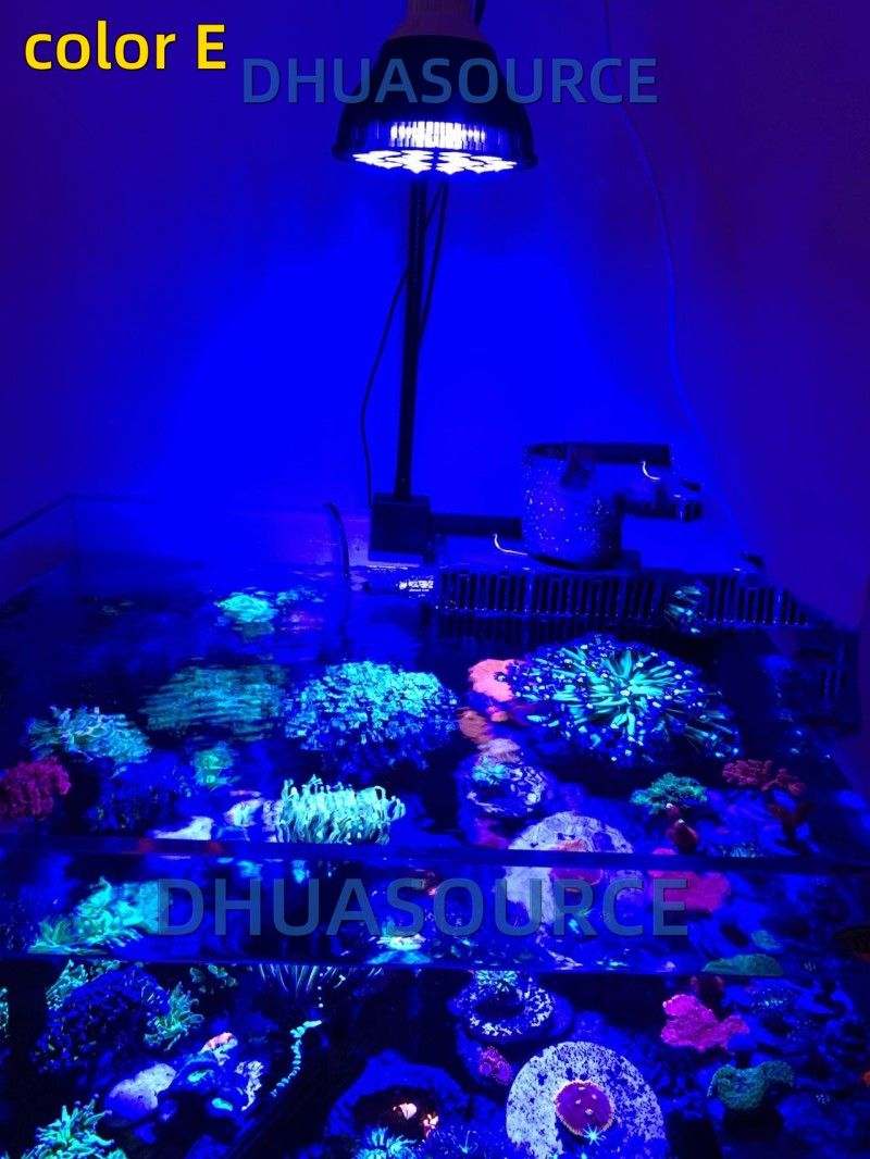 Free customize LED Aquarium li - огляд і ціна Marine Aquarium With Sump