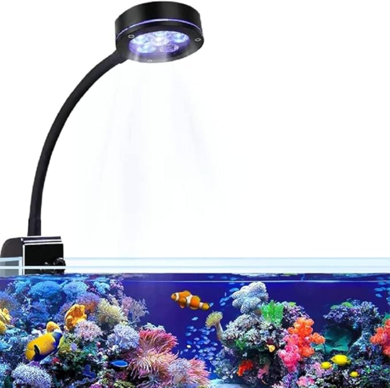 Aquarium LED Coral Reef Light  - огляд і ціна Aquarium Blue Marine