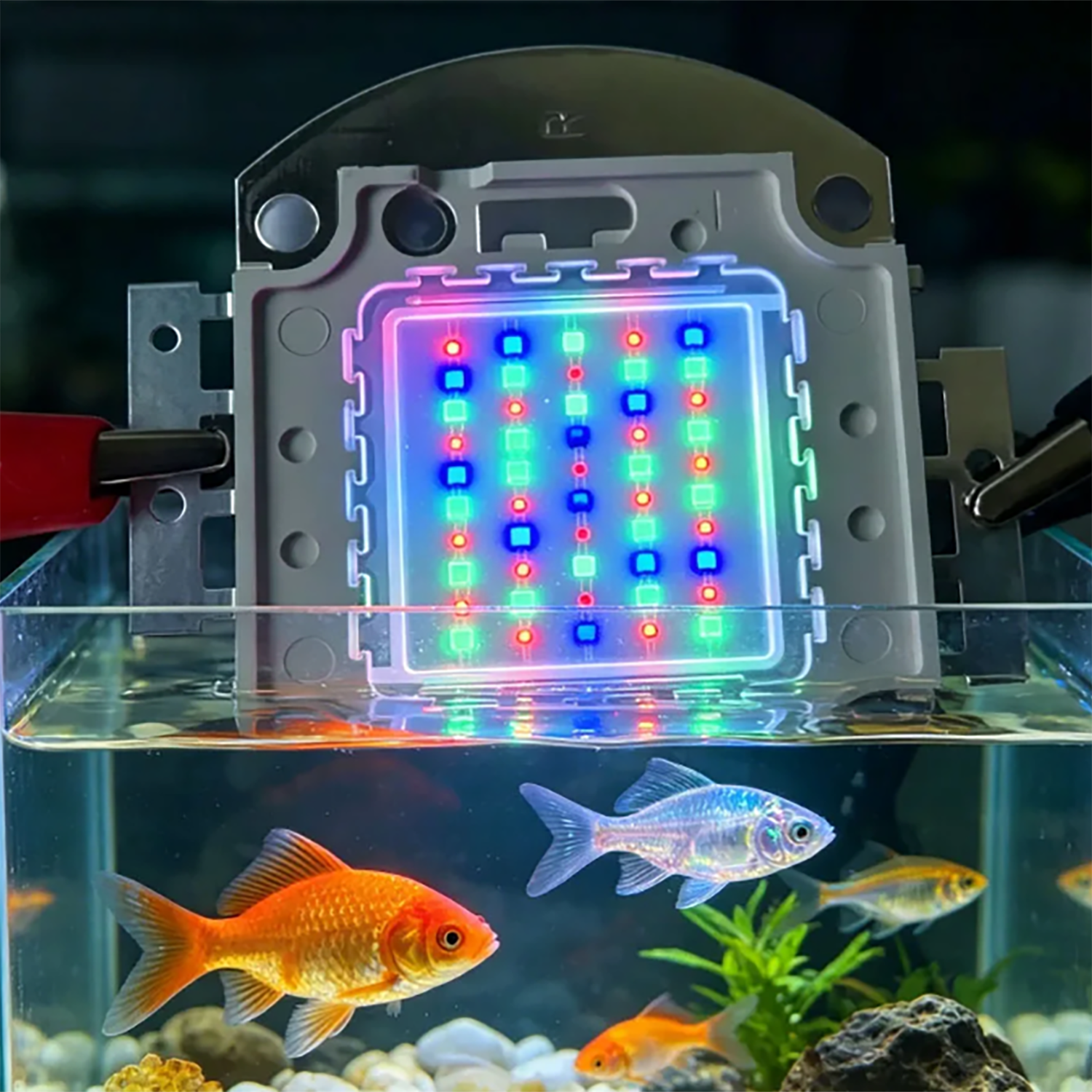 50W 60W 70W 100W RGB 26-28V Hi - огляд і ціна Aquarium Blue Marine