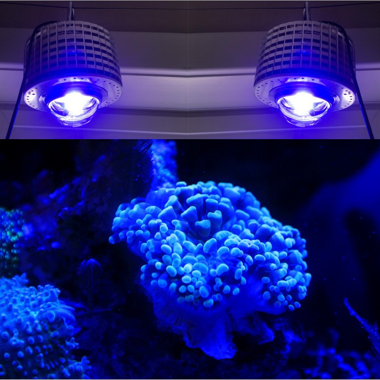 LED Aquarium Lighting Full Spe - огляд і ціна Aquarium Blue Marine